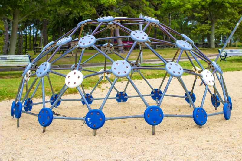 Jungle Gym Assembly in Conroe, TX